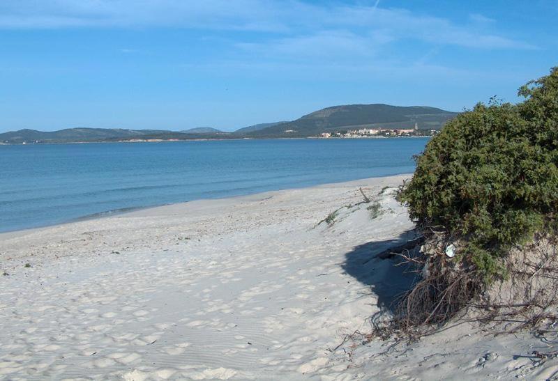 Appartamento A Pochi Passi Dalla Spiaggia Alghero Eksteriør billede